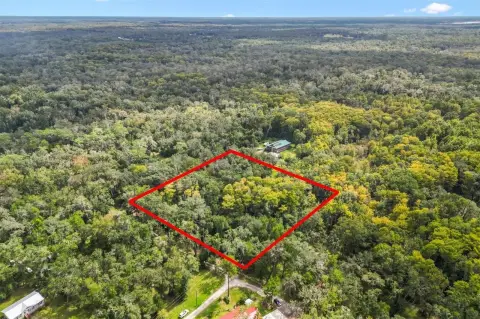 Pristine Land in Webster, FL