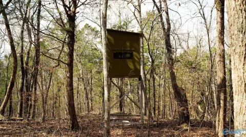 Stevenson Land for Hunting