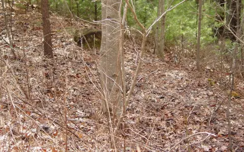 Hiawassee, GA Vacant Lot