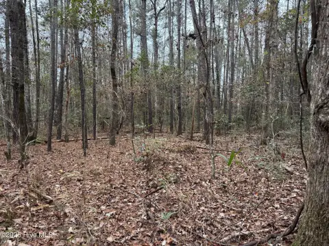 Wooded Homesite Opportunity in Rocky Point
