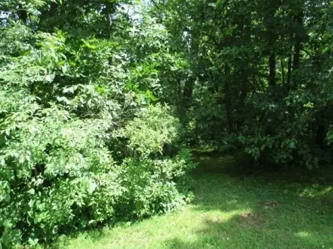 Scenic Wooded Lot in Lake Summerset