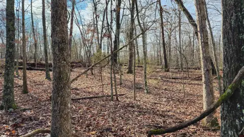 29.83 Acres in Bull Shoals