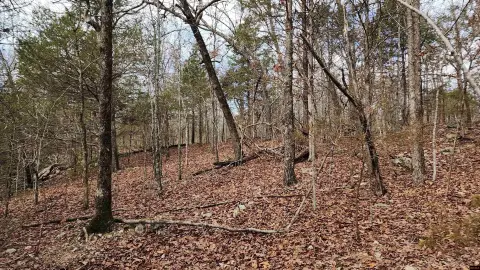 Bull Shoals Acreage Lots