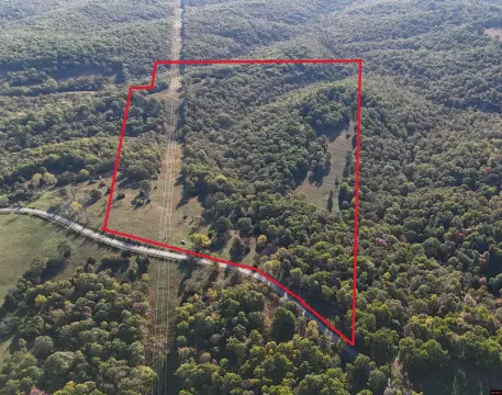 Unrestricted Wooded Acreage For Sale