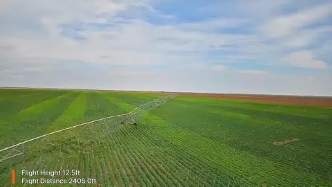 Organic-Certified Irrigated Farm