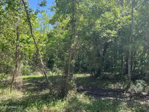 Spacious Lot Near the Bay