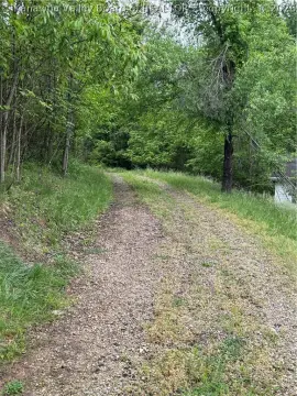 Wooded Land in South Charleston