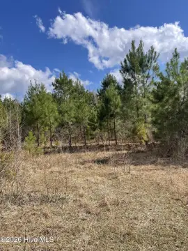 28.3 Acres in Bolivia, NC