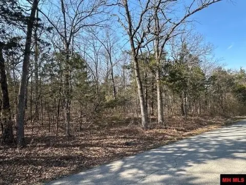 Flippin Development Opportunity