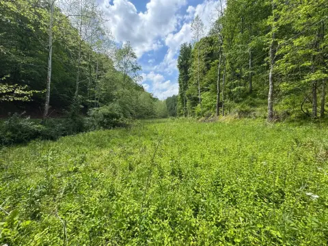 Recreational Land with Stream