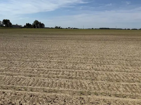 Tillable Farmland with Building Potential