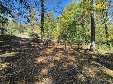 Wooded Land for Recreation or Homesite