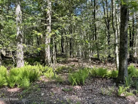 Land Near Lake Wallenpaupack