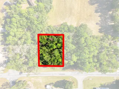 Vacant Land in Citrus Springs