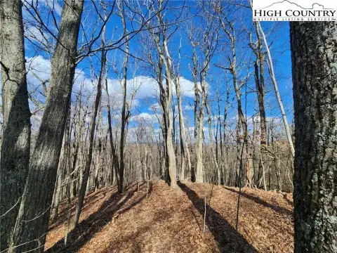 Scenic Mountain View Land