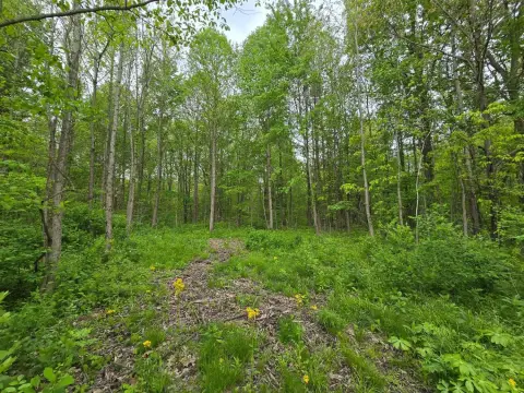 Milan, IN Land For Sale
