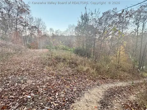 7 Acres Mountain Land in WV