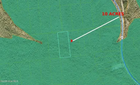 Southport, NC Wooded Land