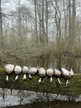 Grove Creek Hunting and Recreation