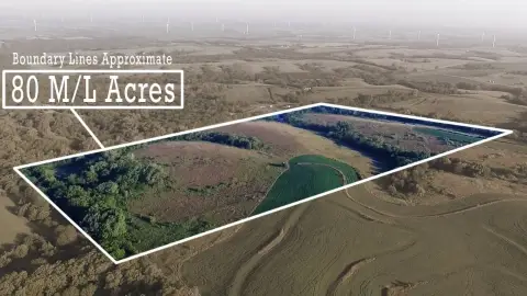 Secluded Hunting Land with CRP