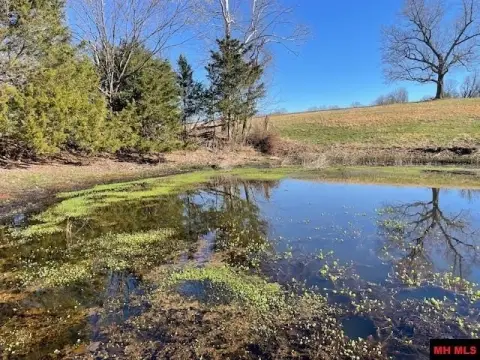 Established Pasture Land For Sale