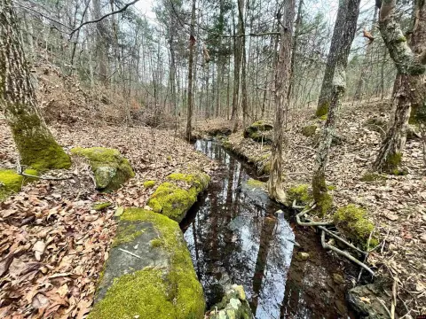 300 Acres Hunting and Recreation Land