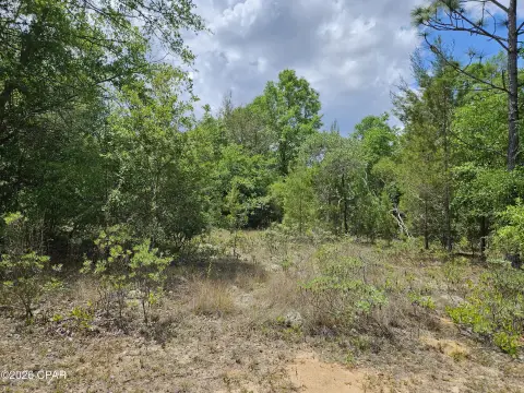 Flat Residential Home Lot