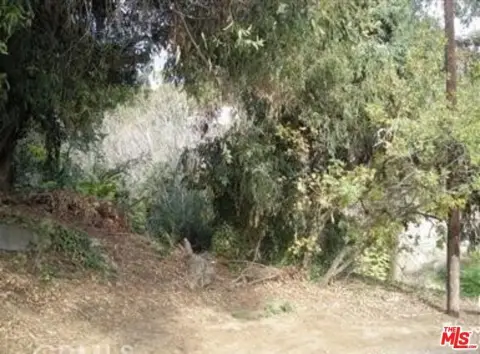 Mount Washington Land with Views