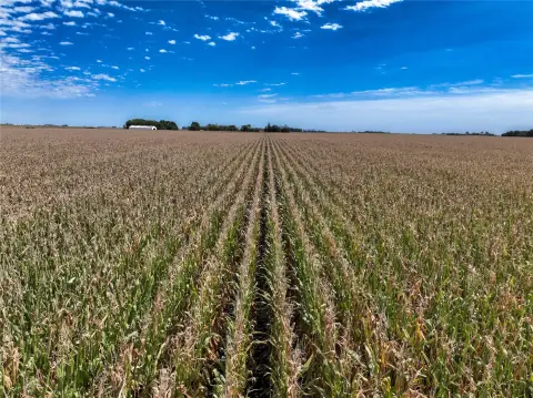 Farmland With Highway Access