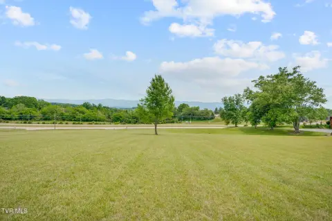 Pasture Land with Mountain Views