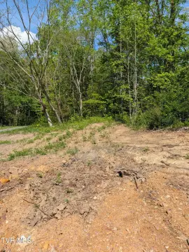 Rogersville Vacant Land Opportunity