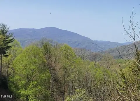Roan Mountain Land with Views