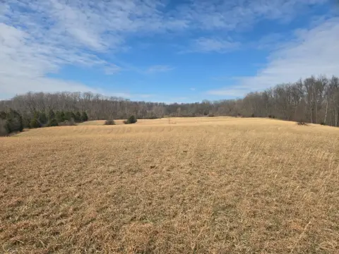 46 Acres of Mixed Land