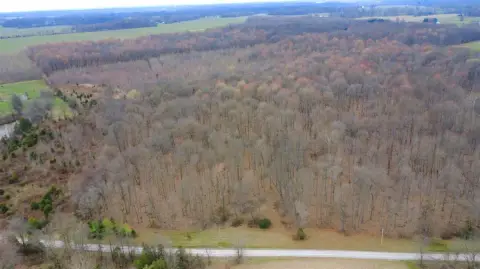Wooded Acreage in Deputy, Indiana