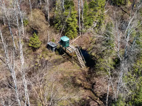 Wooded Hunting Land Along River