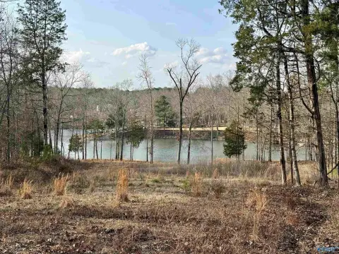 Waterfront Lot in Tidmore Bend