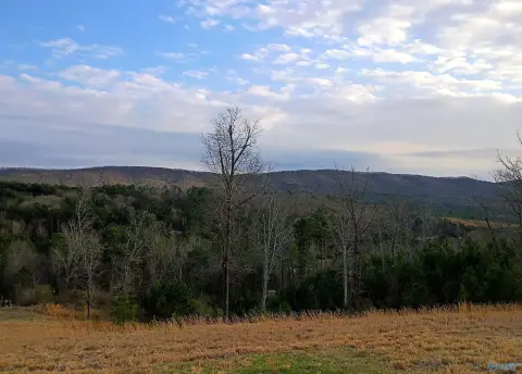 Piedmont, AL Land with Views