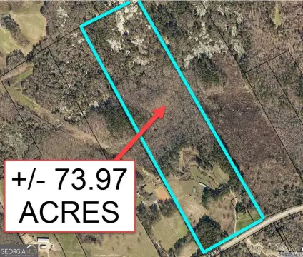 73.97 Acres on GA Highway