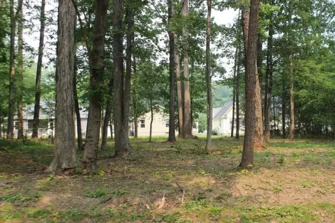 Oversized Wooded Lot in Captains Cove