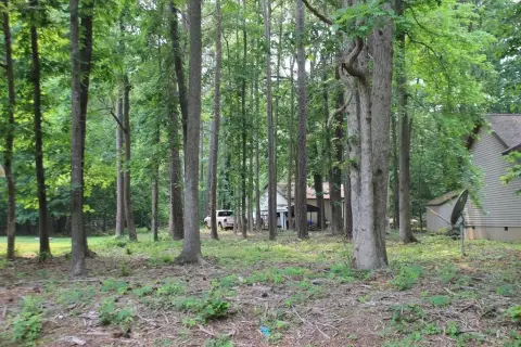 Wooded Lot with Water Access