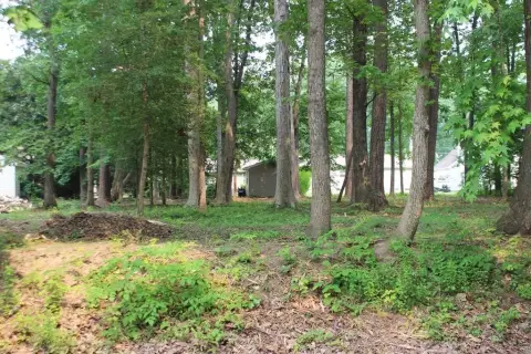 Wooded Lot in Captains Cove