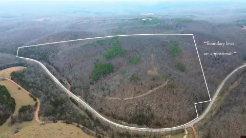 Harriet, AR Hunting & Recreation