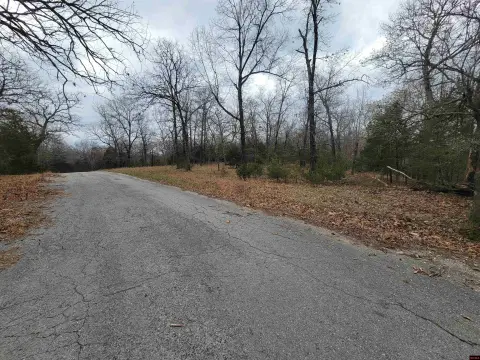 Wooded Acreage Near Bull Shoals Lake