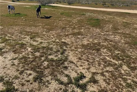 Hinkley, CA Land For Sale