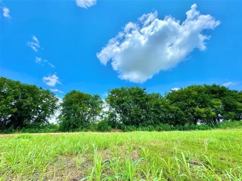Unimproved Land in Nevada, Texas