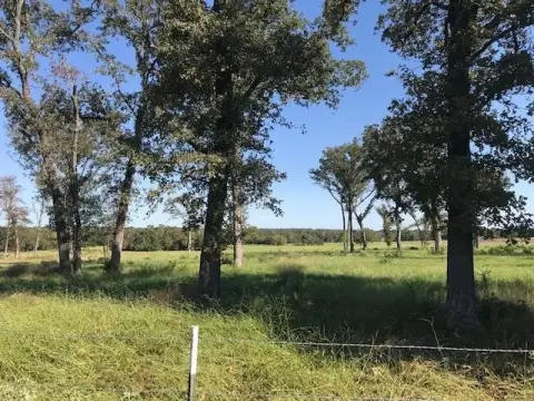 Beautiful East TX Acreage Tract