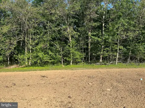 Wooded Lot in Rural Setting