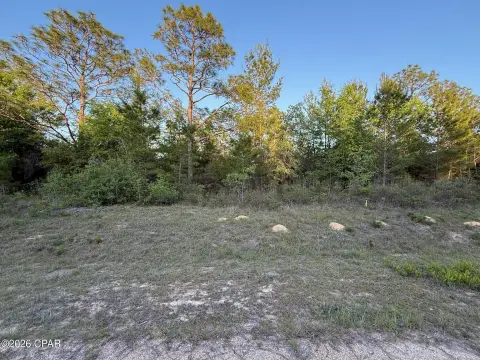 Residential Lot in Sunny Hills