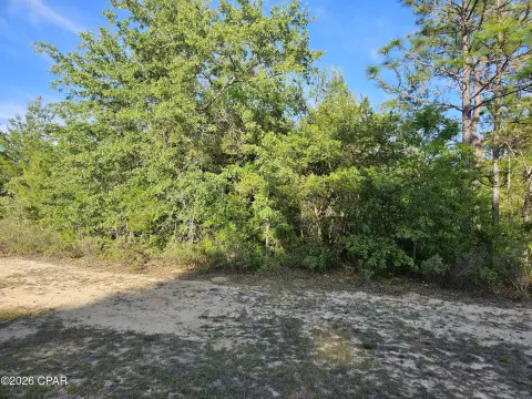 Flat Residential Lot Off Main Entrance