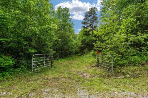 34 Acres of Wooded Land